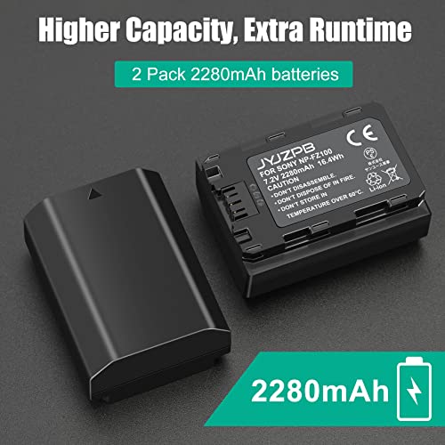 NP-FZ100 Battery and Charger 2 Pack B514870
