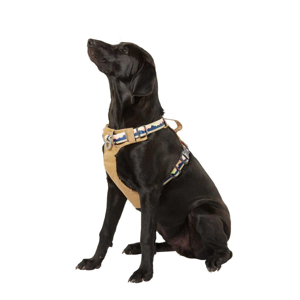 Lightweight Dog Harness T91532