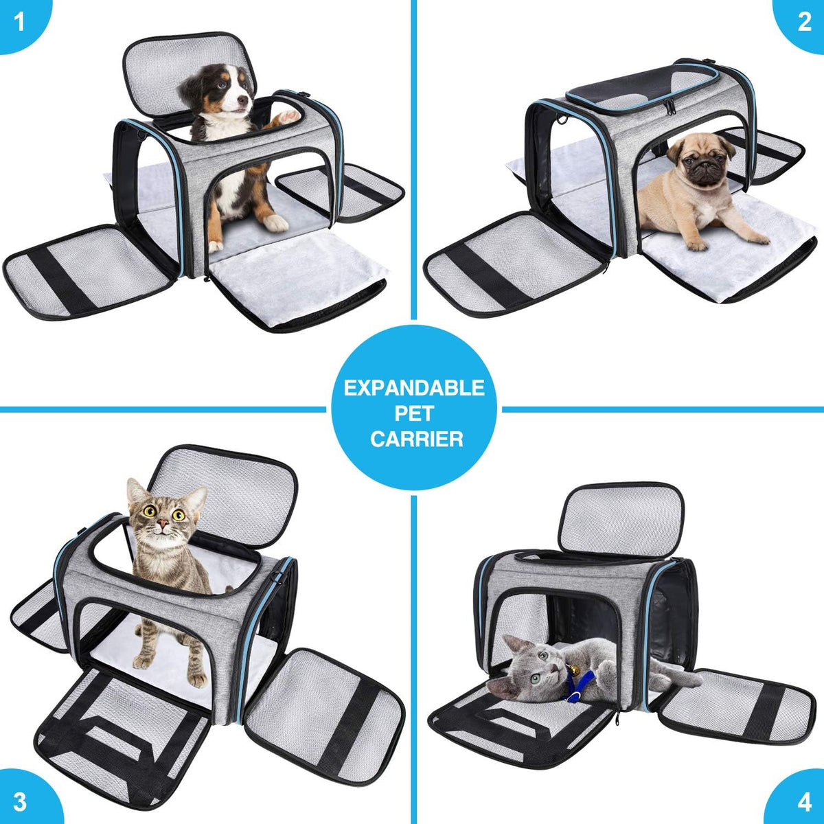 Large Soft-Sided Collapsible Pet Travel Carrier with 5 Doors G657