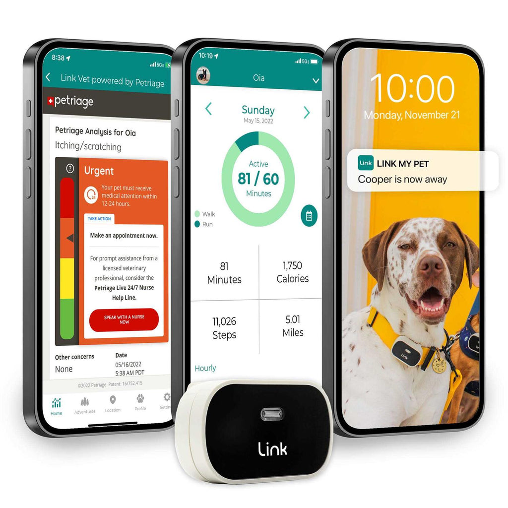 GPS Dog Tracker & Activity Monitor T584510