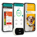 GPS Dog Tracker & Activity Monitor T584510