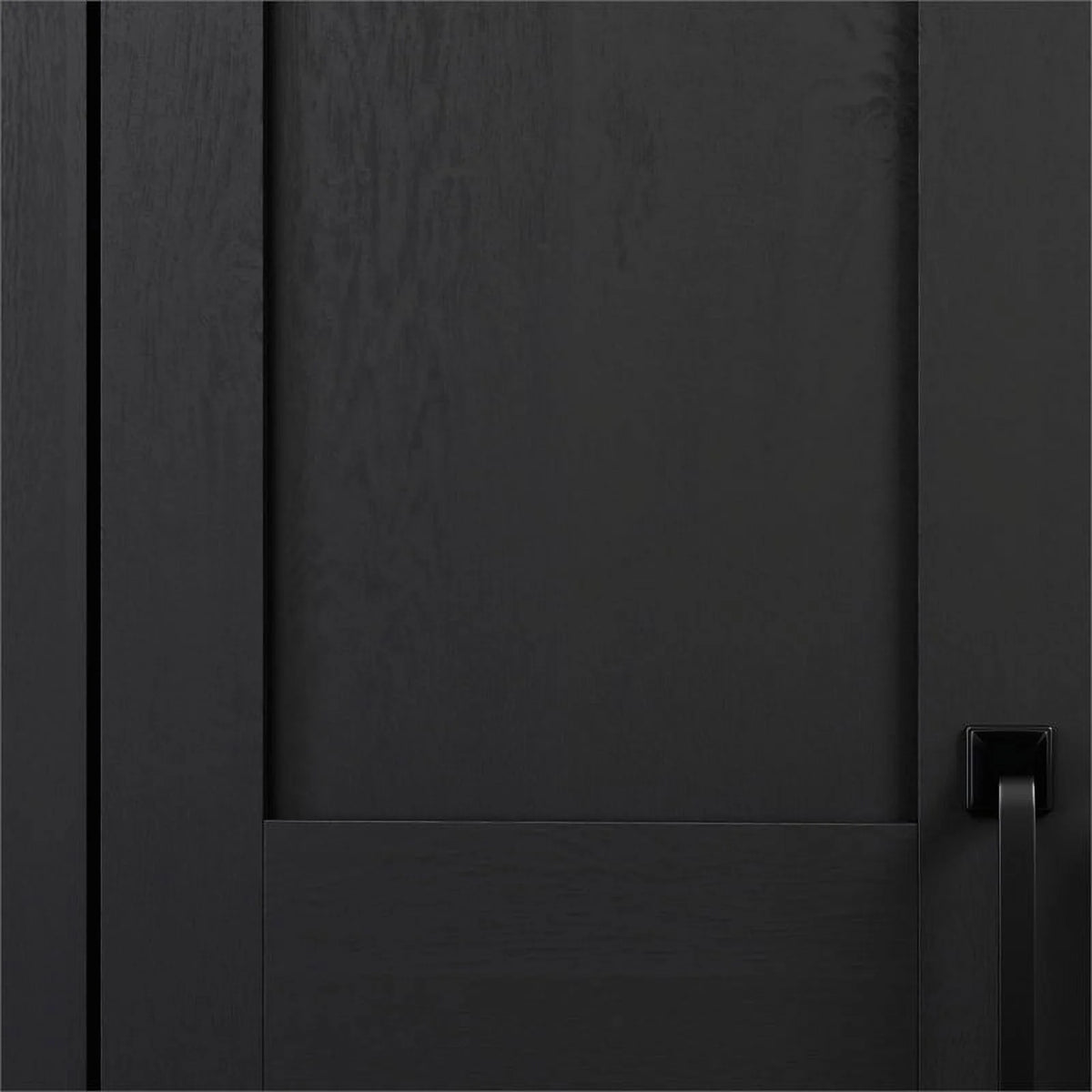 Engineered Wood 2-Door Storage Cabinet O35169