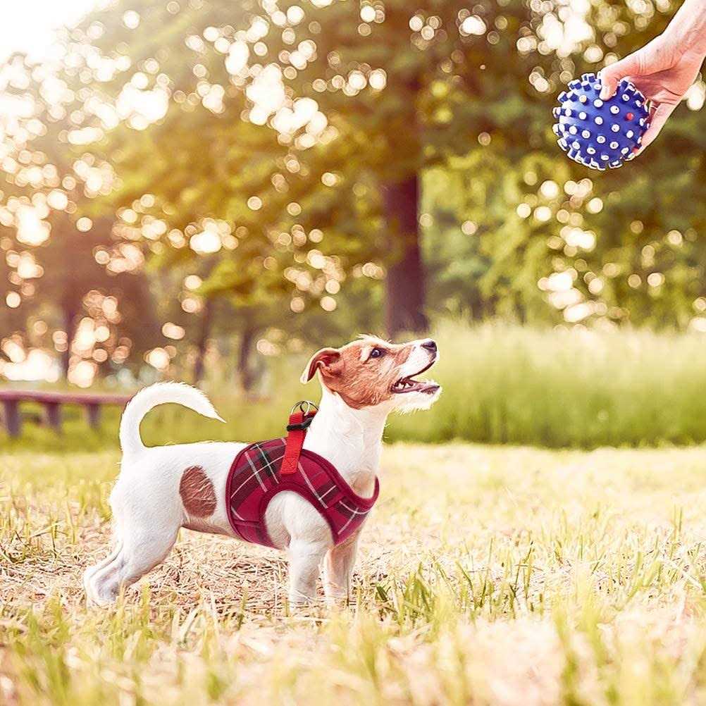 Soft Mesh Padded Dog Harness M87325