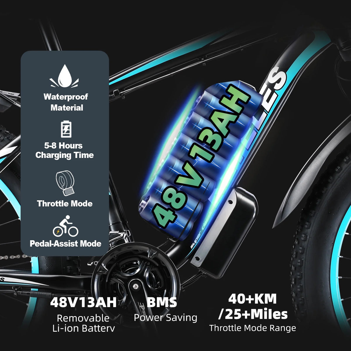 750W 48V 13AH Fat Tire Electric Bike L6862