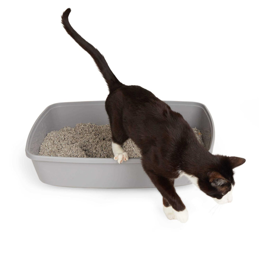 Open Cat Litter Box N319216