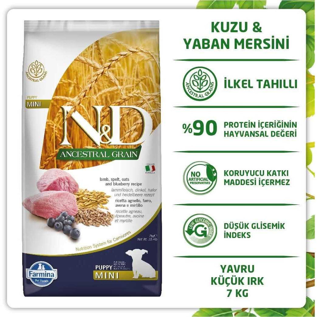 Lamb & Blueberry Dog Dry Food D405