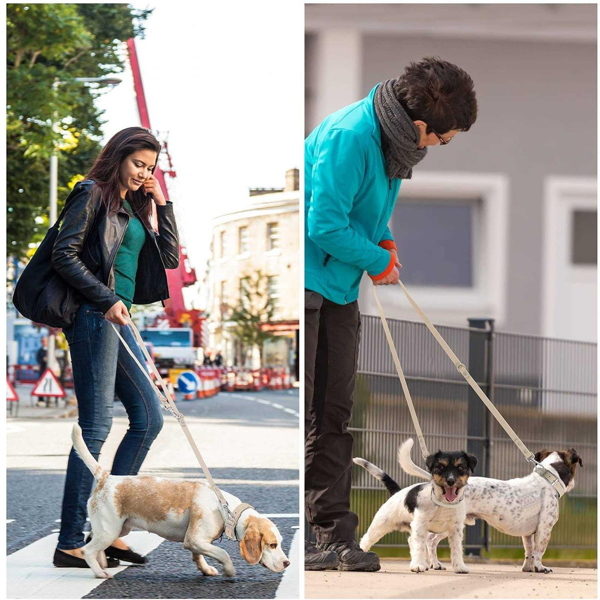 Waterproof Dog Leash with 2 Hooks N571
