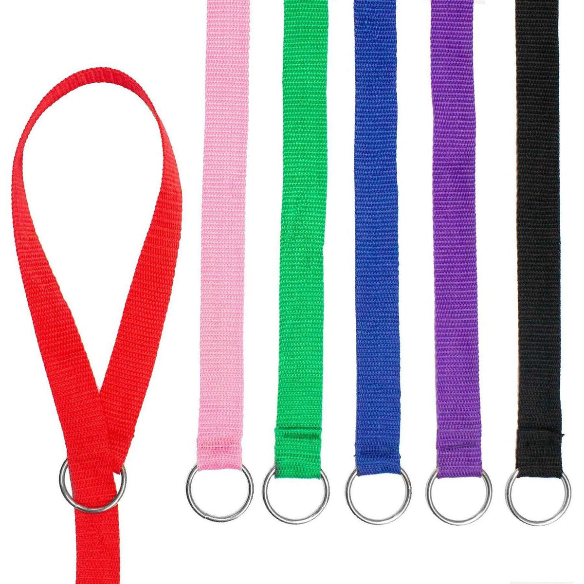 Dog Slip Lead Dog Leash T37468
