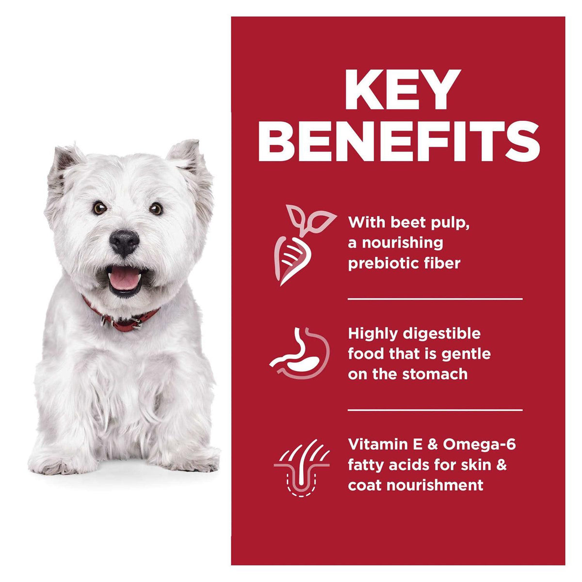 Sensitive Stomach & Skin Small Bites Dry Dog Food O6199