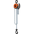 Hurricane Hand Chain Hoist 2 Ton 10' Lift H56456