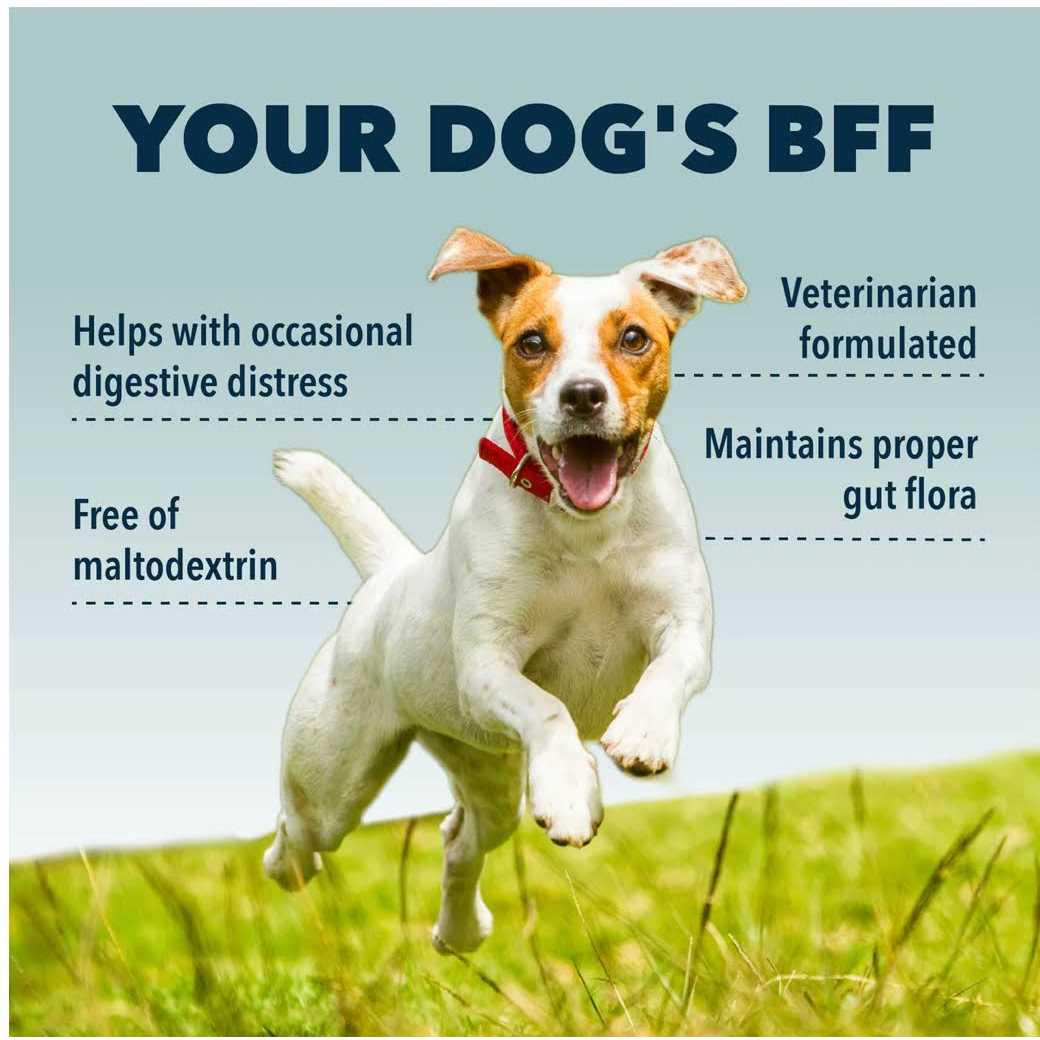 Gut Guard Pet Supplies R36553