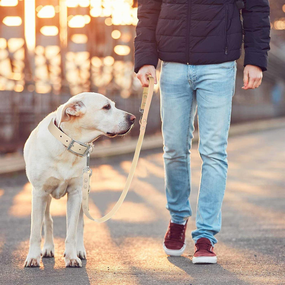 Waterproof Dog Leash with 2 Hooks N571