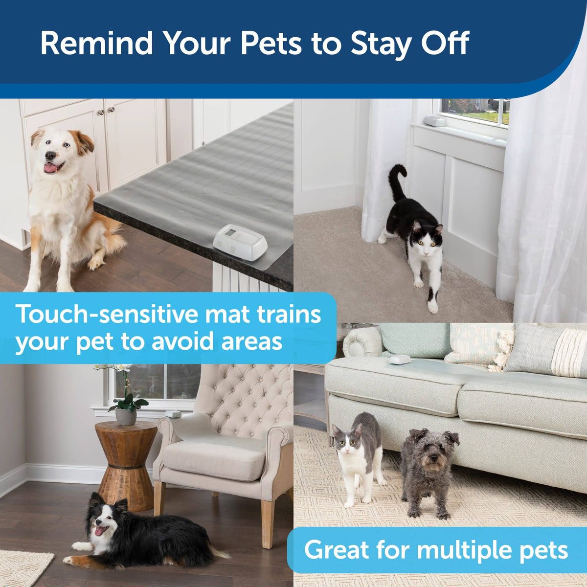 Sofa Training Mat, 12 x 60 Inches G479