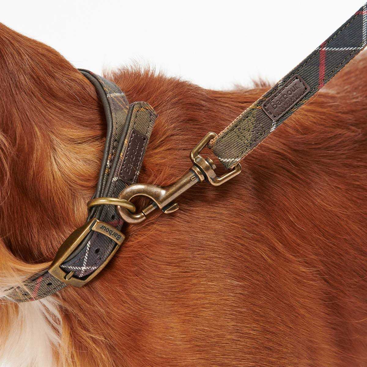 Tartan Webbing Collar U98481