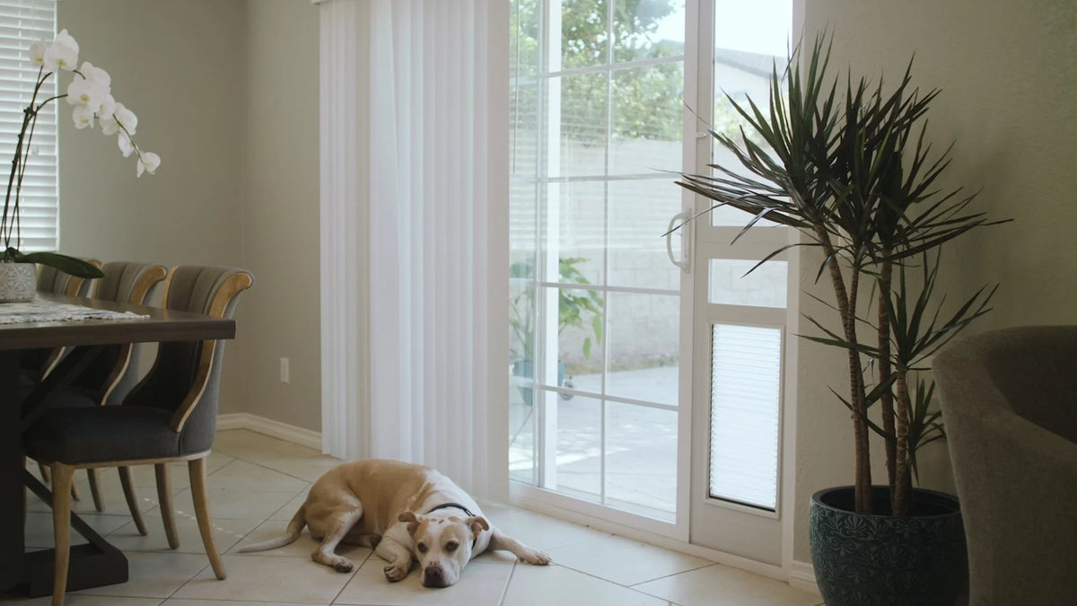Patio Door T256701