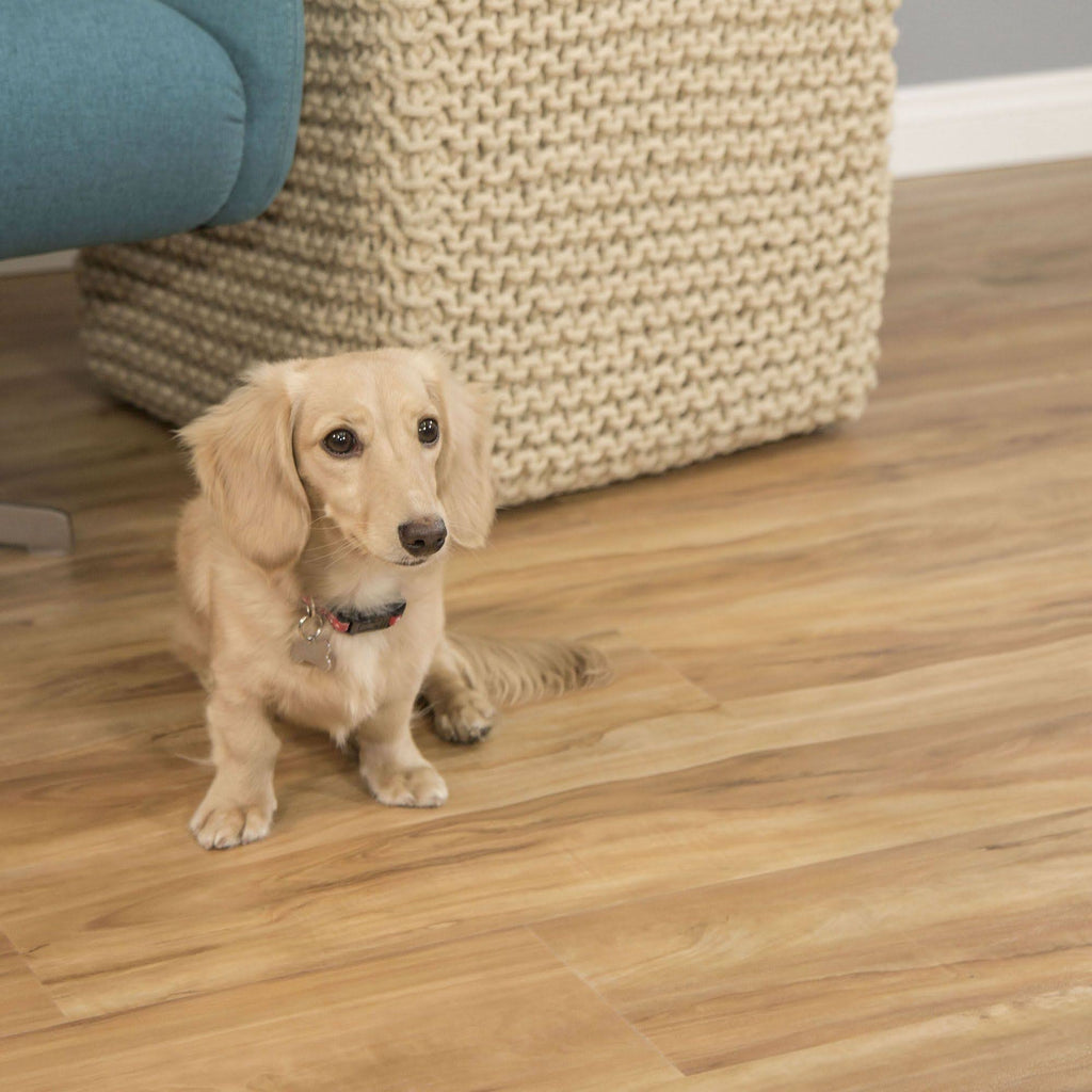 Vinyl Plank Flooring, 23.77sq.ft./box, 10 Planks N808196