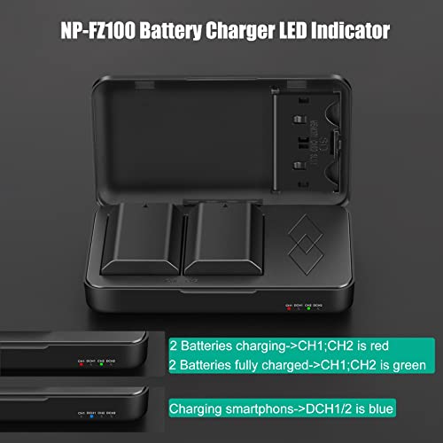 NP-FZ100 Battery and Charger 2 Pack B514870