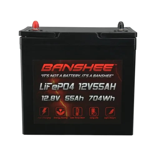 12V 55AH Lithium LiFePO4 Deep Cycle Battery 4 Pack I8468