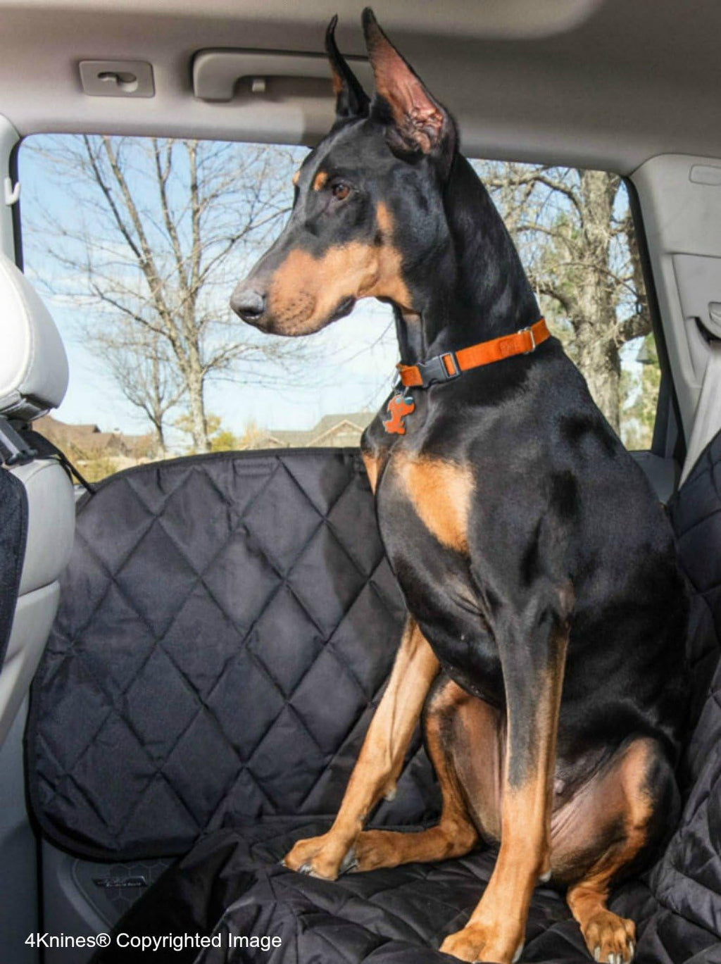 Dog Car Door Cover for Cars, Trucks and SUVs L25743