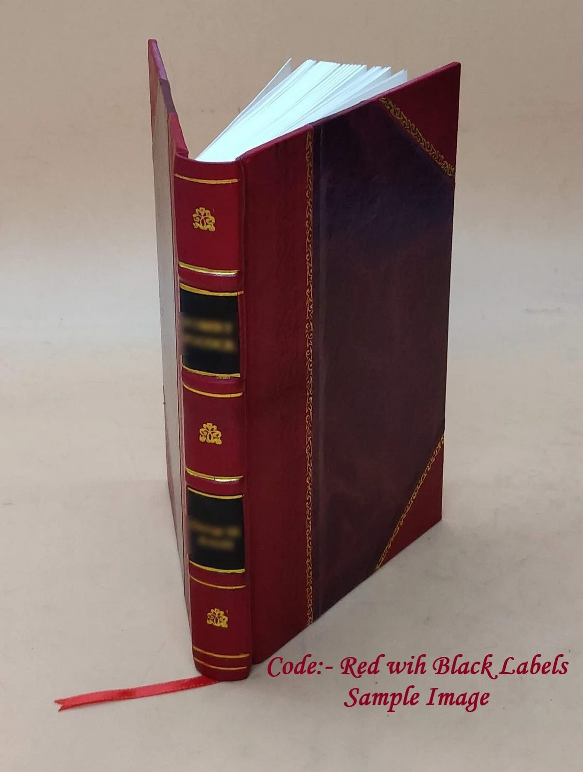 Microbes ptomaÃnes et maladies 1887 Leather Bound I7227