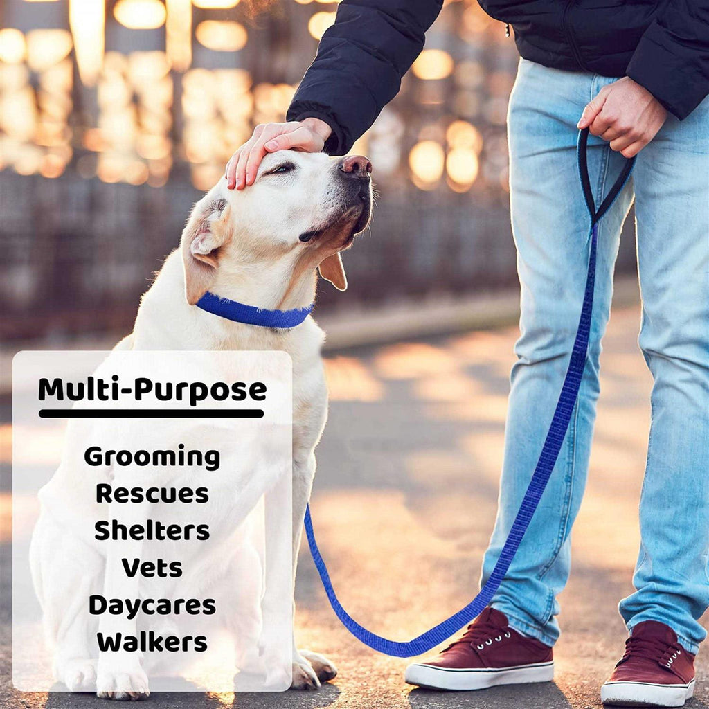 Dog Slip Lead Dog Leash T37468