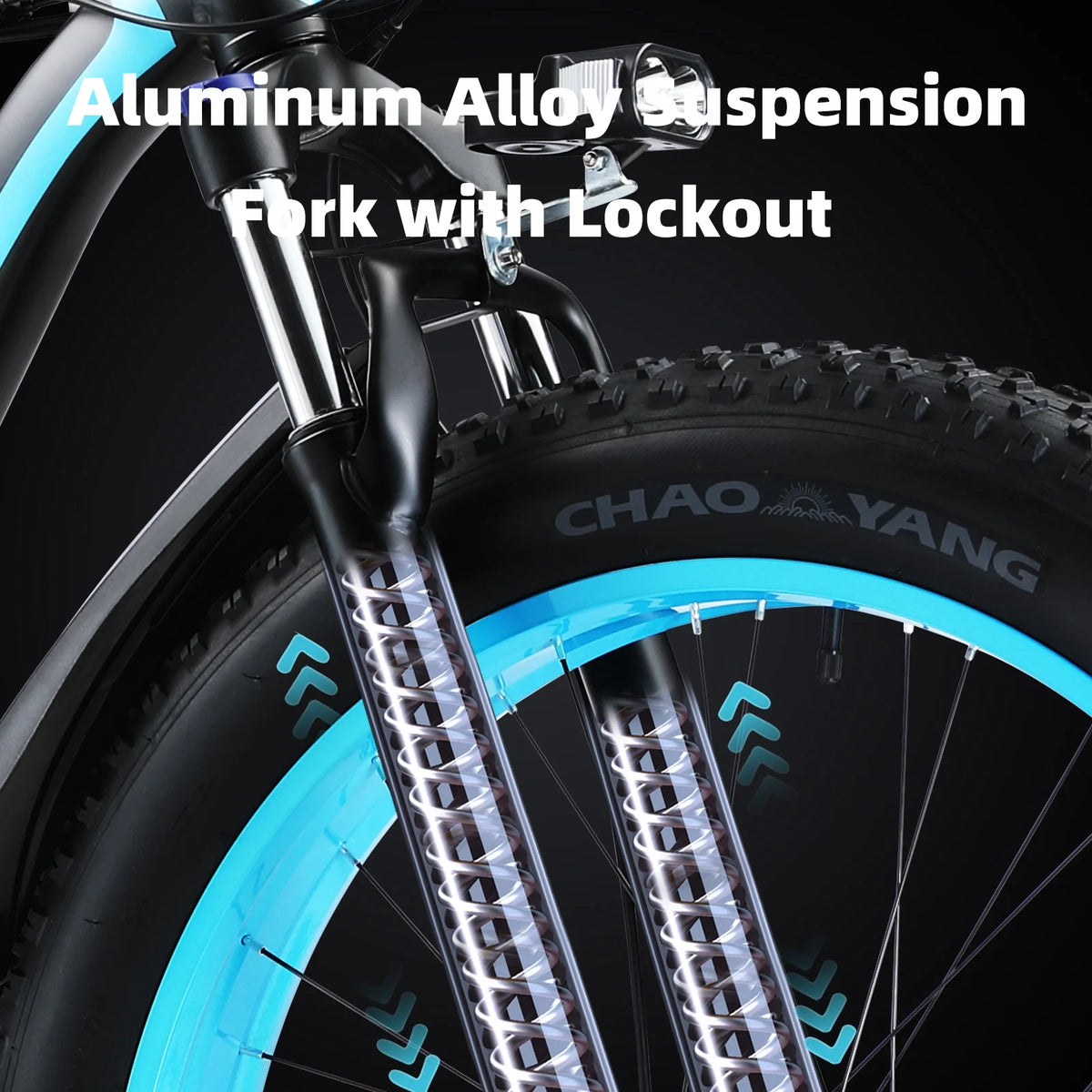 750W 48V 13AH Fat Tire Electric Bike L6862