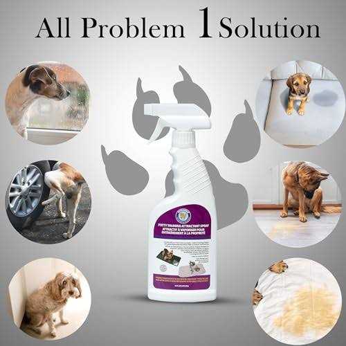 Potty Training Attractant H281