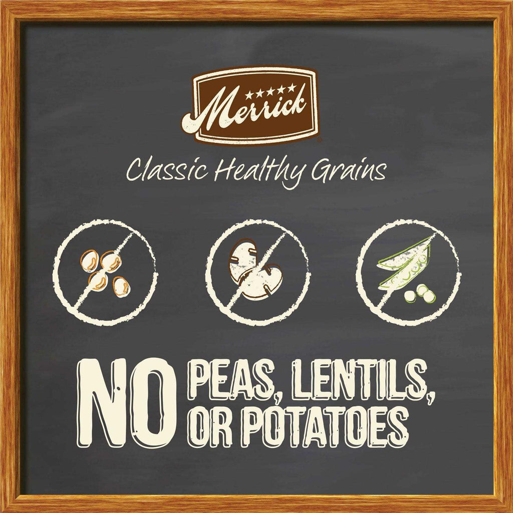 Real Ancient Grains Dry Dog Food A666161