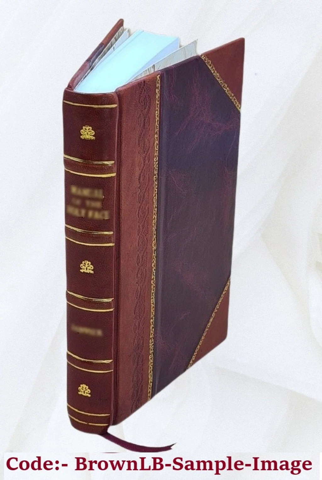 Irish Tales [Leather Bound] N46216