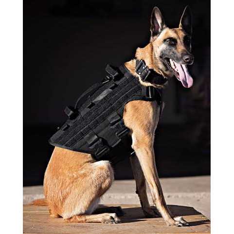 Harness H977611