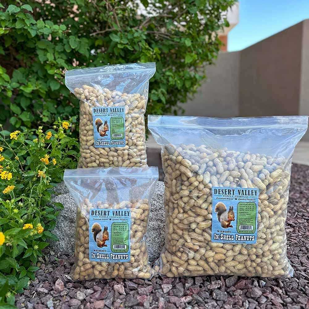 Peanuts in Shell R7463