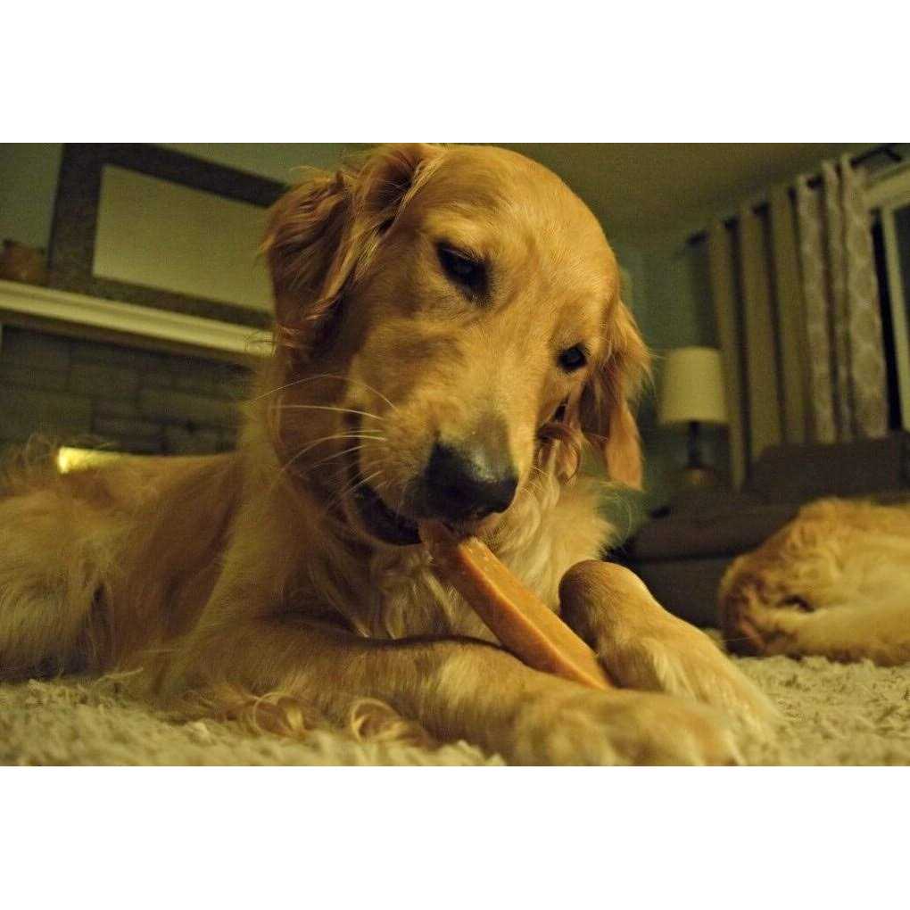 Yak Cheese Dog Chews D5529