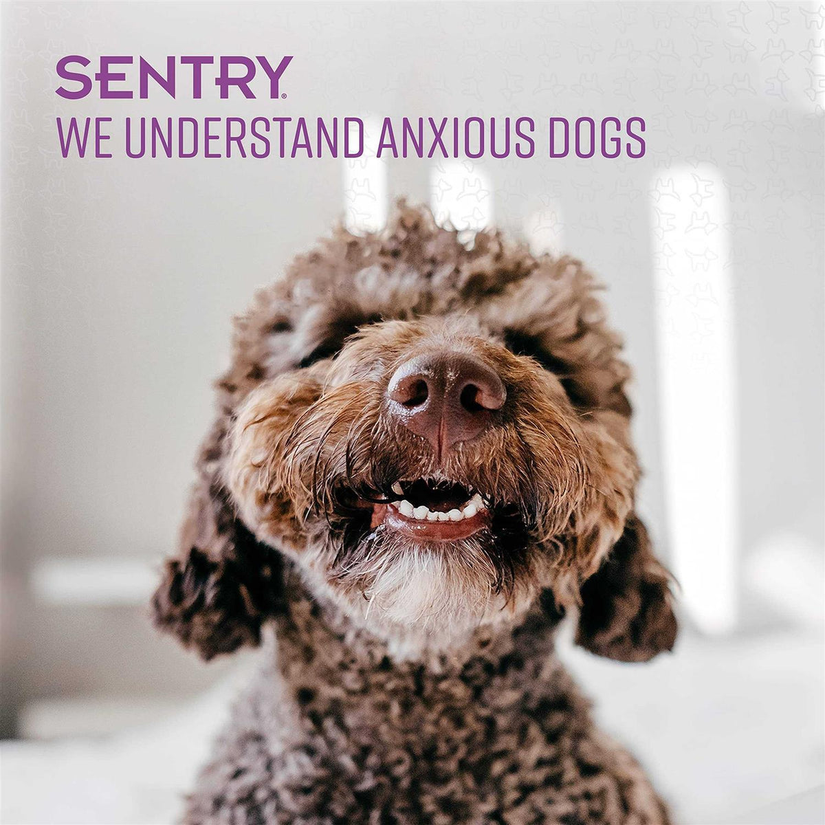 Calming Toy for Dogs Y7126