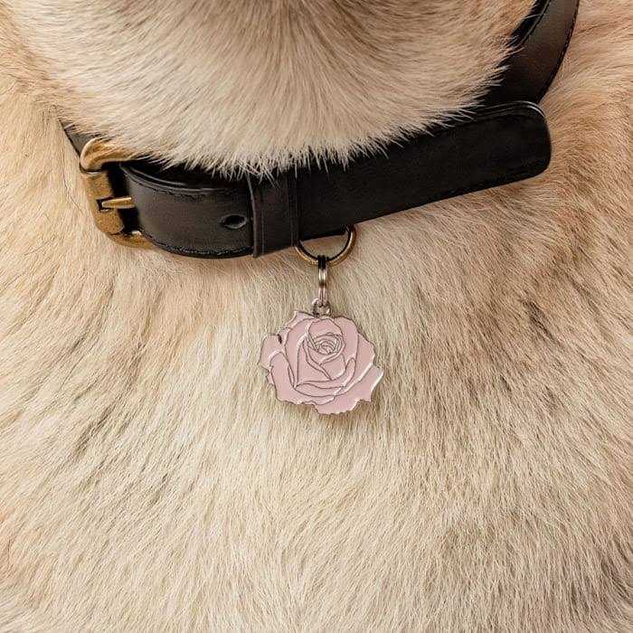 Pet Supplies B524057
