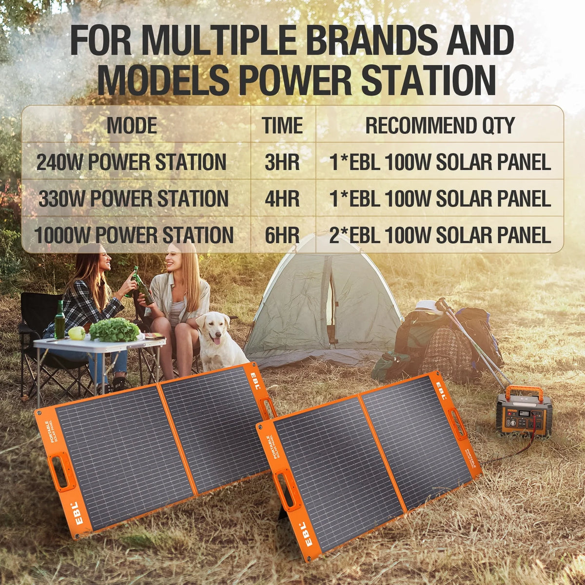 Portable Power Station 110V/1000W 999Wh Lithium Battery T47233
