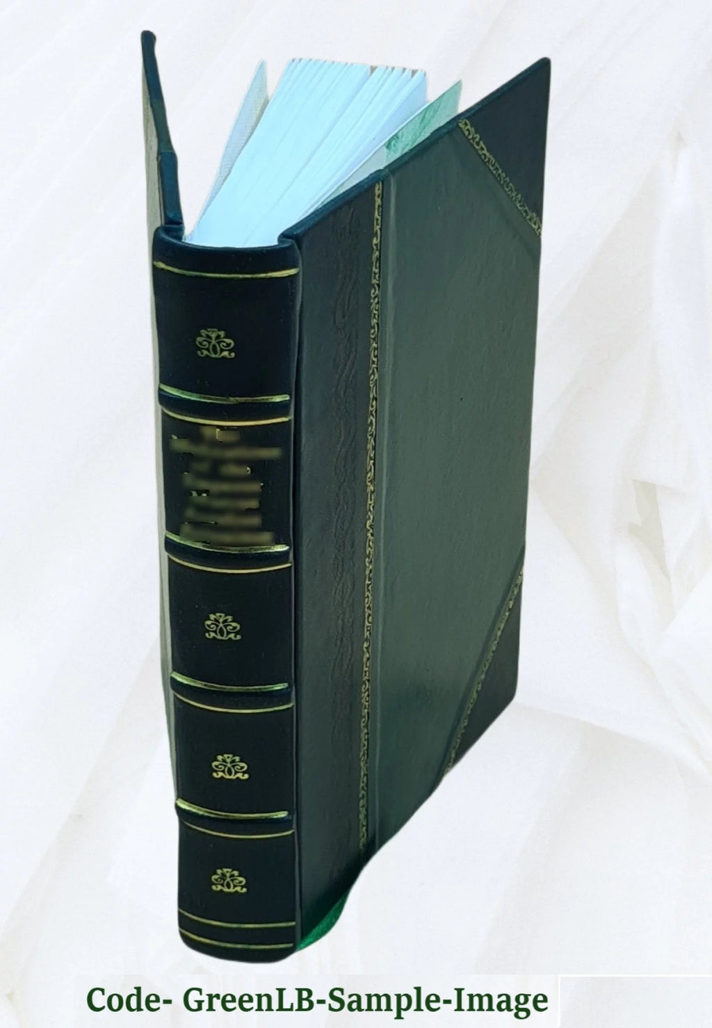 Irish Tales [Leather Bound] N46216