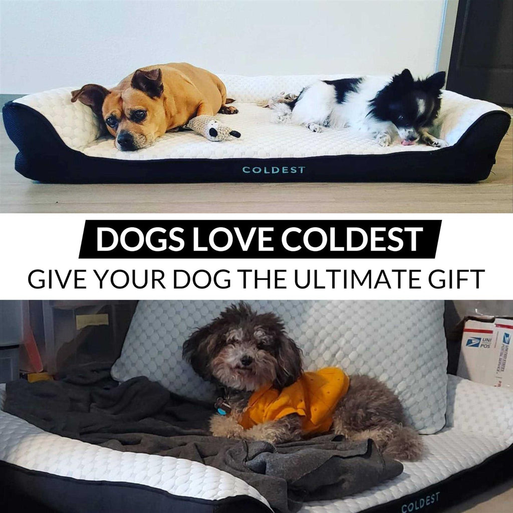 Cooling Medium Dog Bed X66612