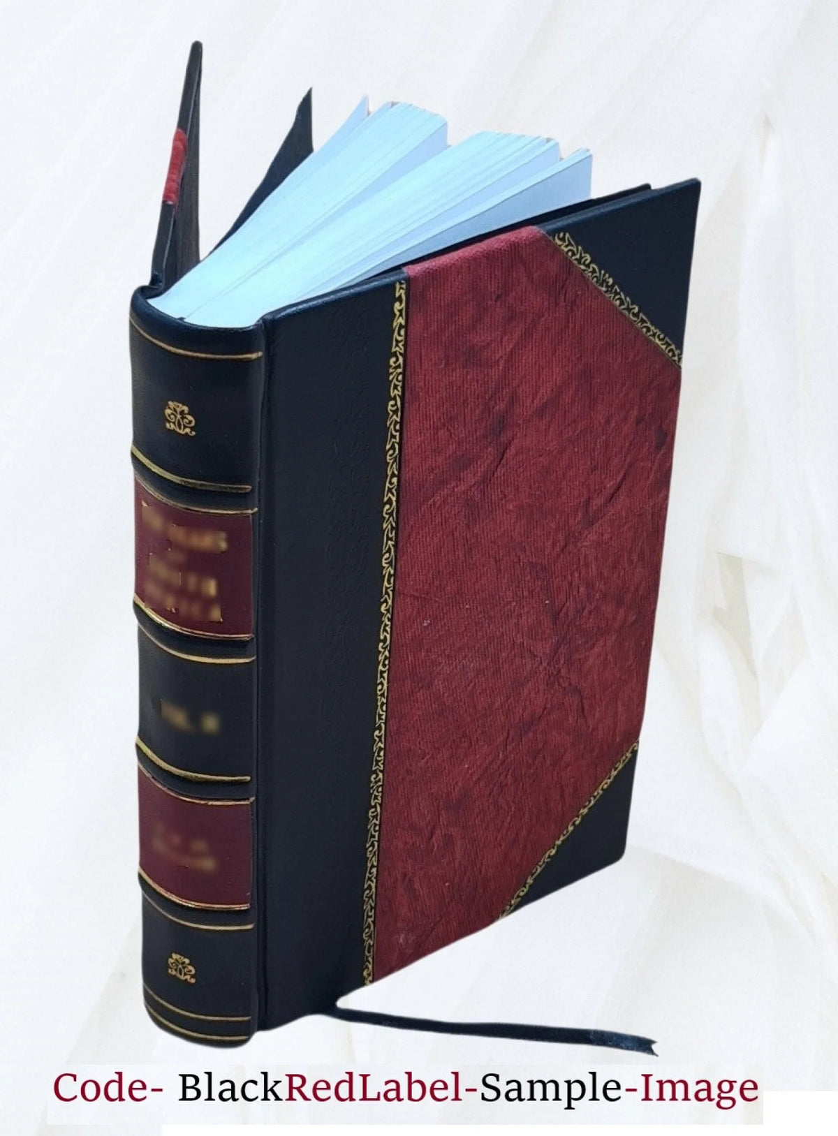 Irish Tales [Leather Bound] N46216
